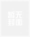 美丽灵感全文阅读
