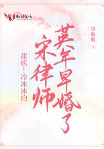 甜疯!冷冰冰的宋律师英年早婚了全文阅读